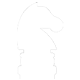 Garden Chess